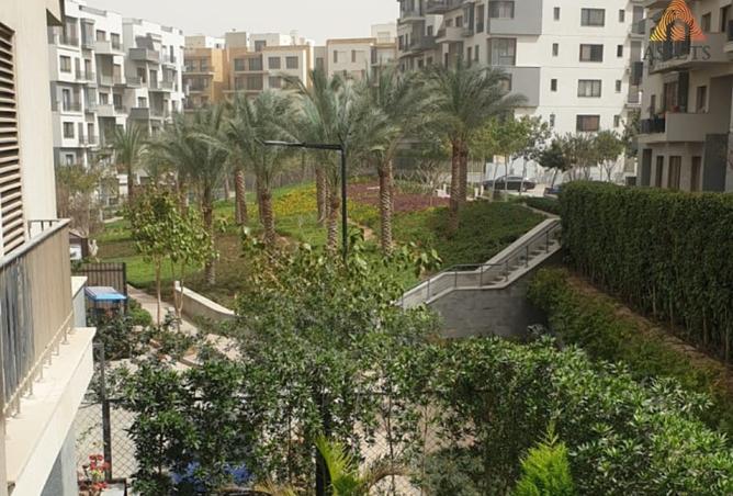 8247703 - الصورة الرئيسية للعقار