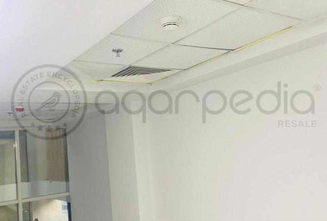 8373575 - صورة العقار 2