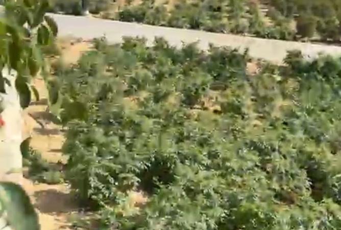 8248083 - صورة العقار 3