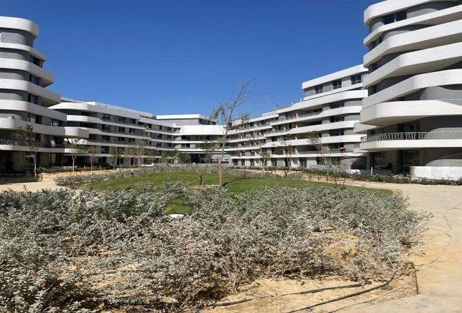 8248058 - Property Image 3