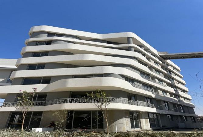 8248058 - Property Image 2