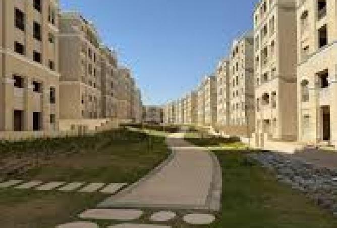 8248184 - صورة العقار 2