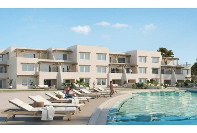 8248188 - صورة العقار 2