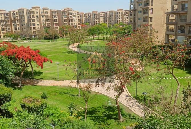 8248257 - الصورة الرئيسية للعقار