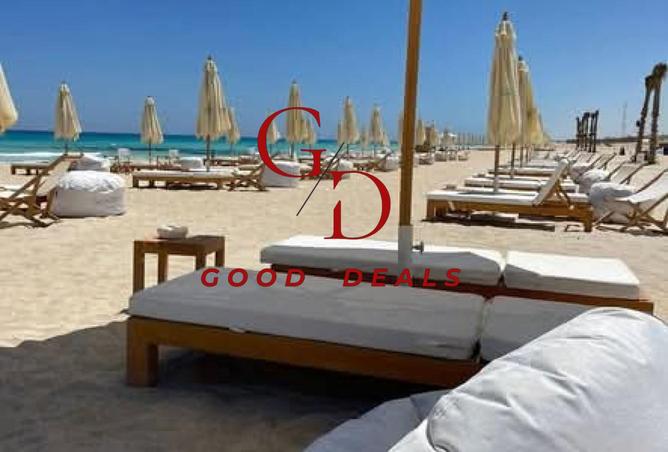 8248548 - صورة العقار 3