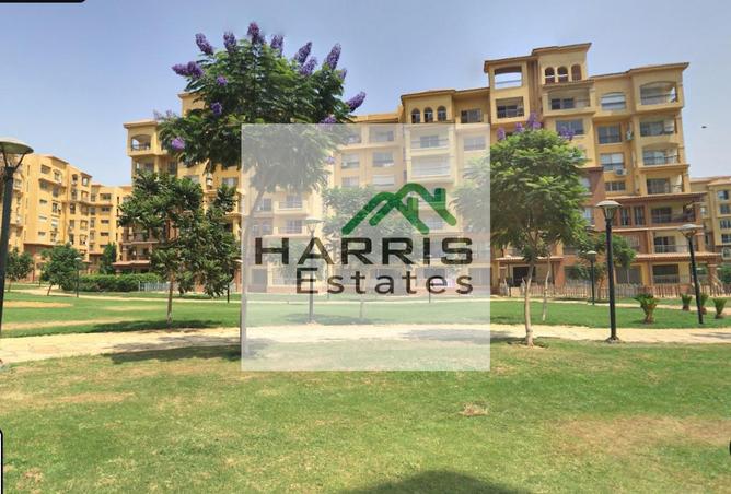 8248877 - صورة العقار 2