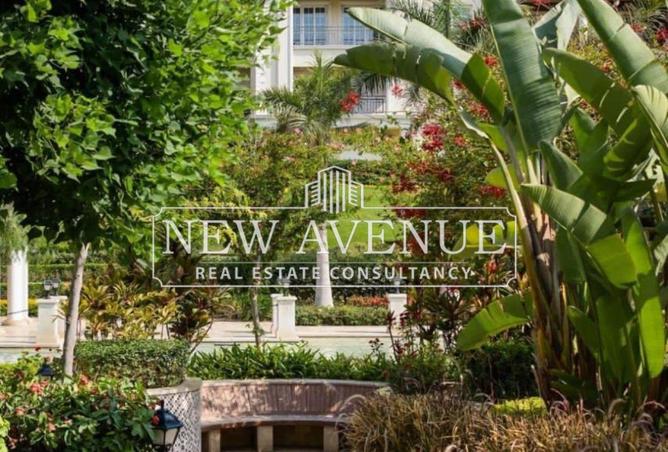 8399139 - صورة العقار 3