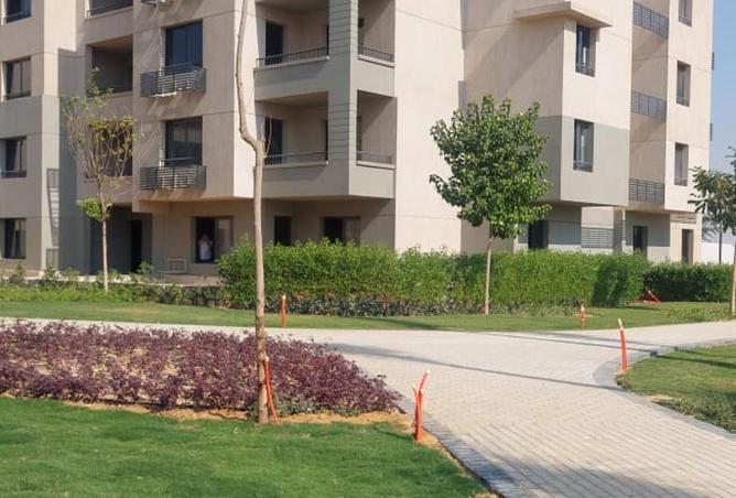 8249194 - صورة العقار 2