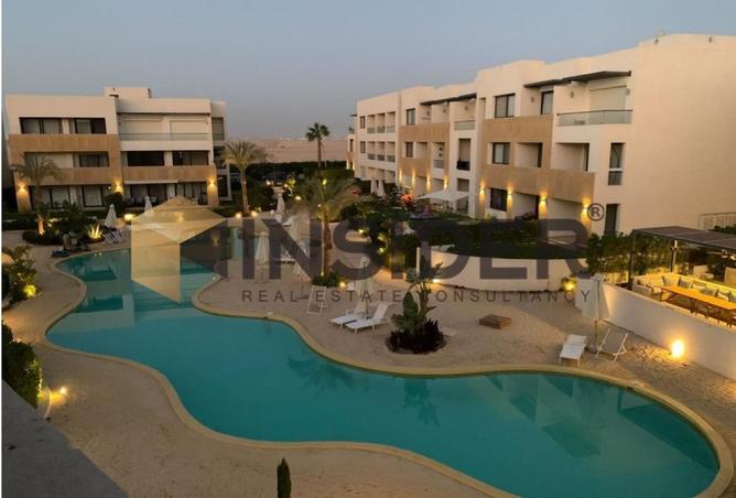 8392829 - Property Image 3