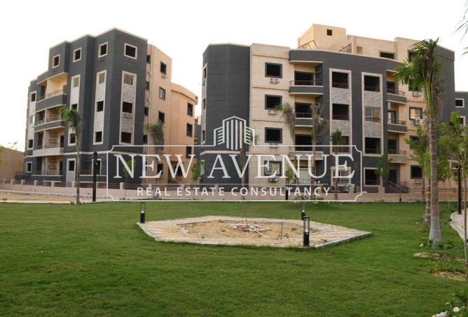 8253832 - صورة العقار 3