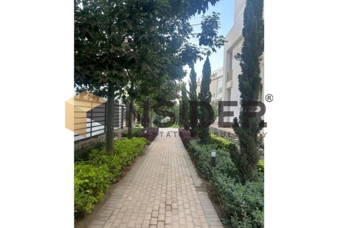 8252172 - صورة العقار 3