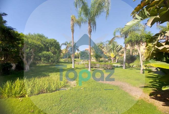 8251217 - صورة العقار 2