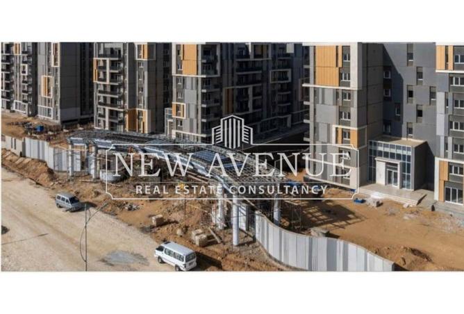 8309451 - Property Image 3