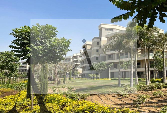 8253039 - الصورة الرئيسية للعقار