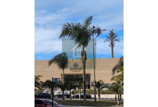 8255546 - صورة العقار 3