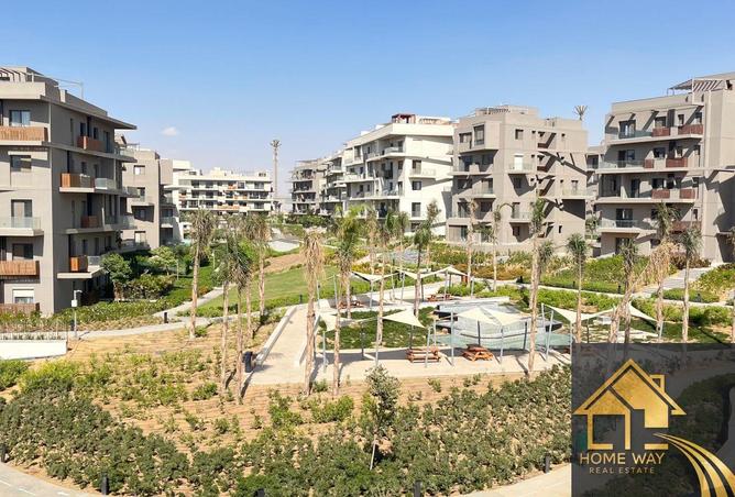 8256606 - Property Image 3