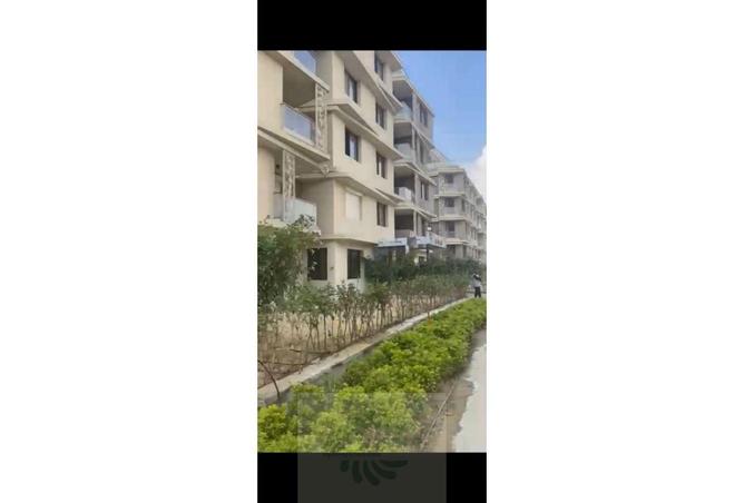 8256918 - صورة العقار 3