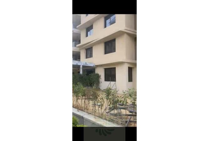 8256918 - صورة العقار 2