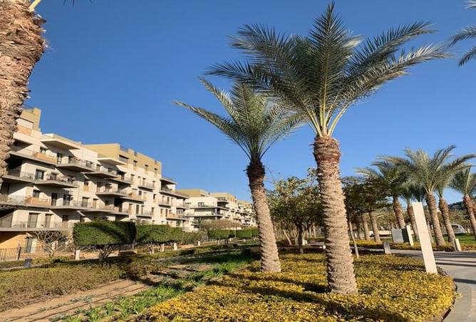 8257463 - صورة العقار 2