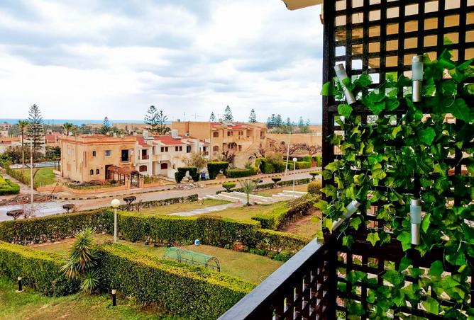 7756064 - صورة العقار 2