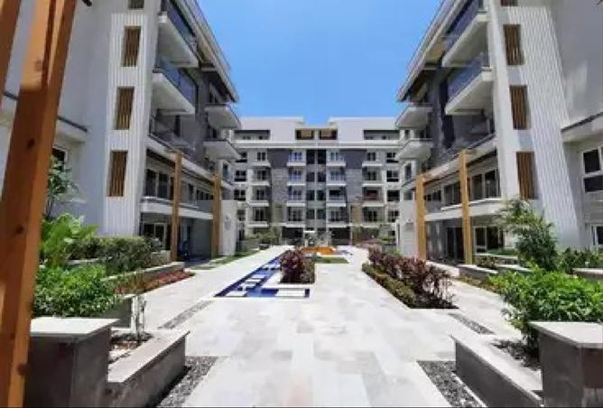 8259043 - Property Image 3