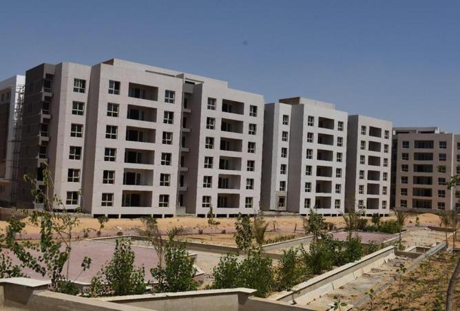 8259335 - صورة العقار 3