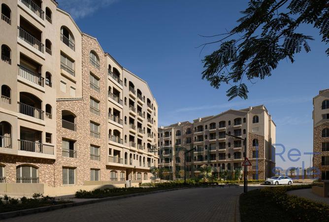 8259873 - Property Image 3