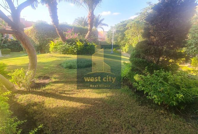 8260331 - Property Image 3