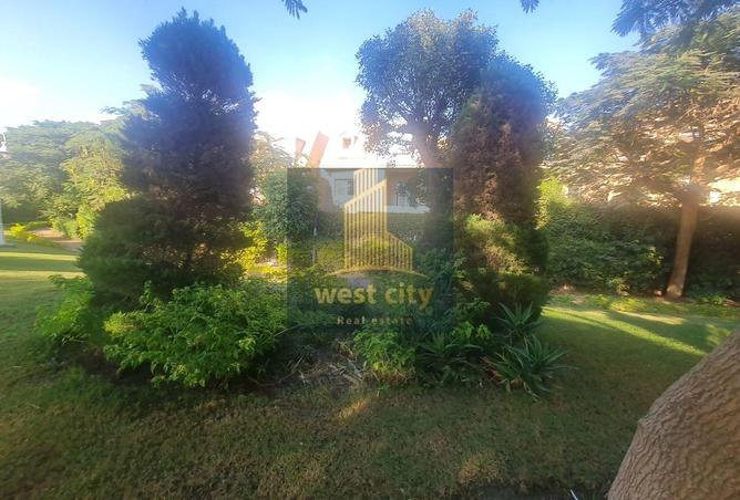 8260331 - Property Image 2