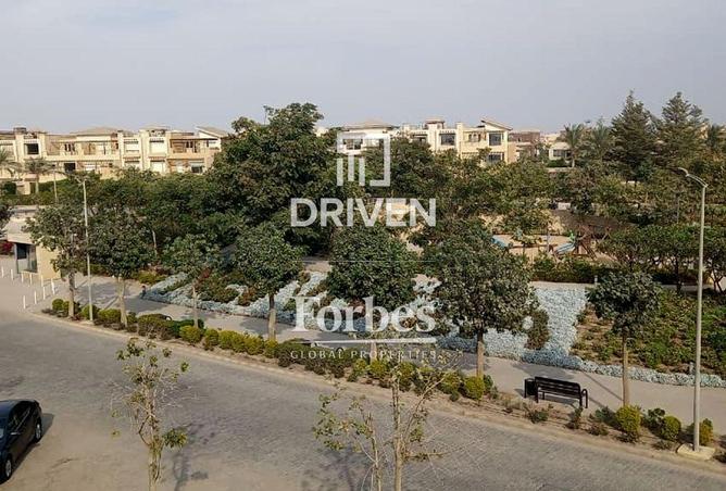 8260773 - صورة العقار 3