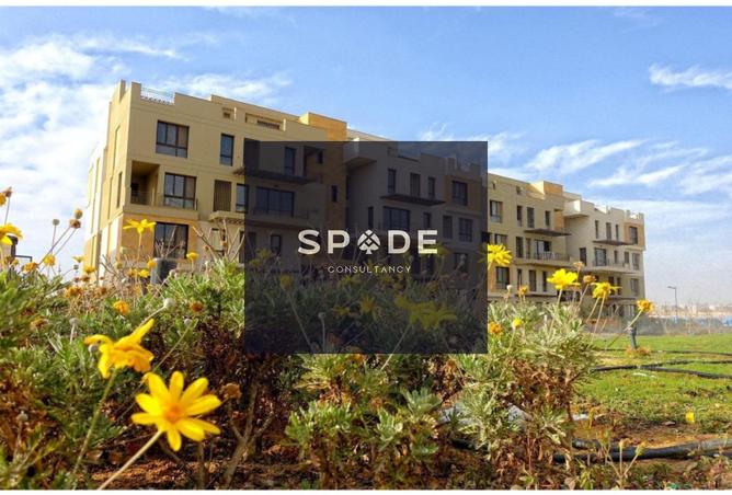 8262599 - الصورة الرئيسية للعقار