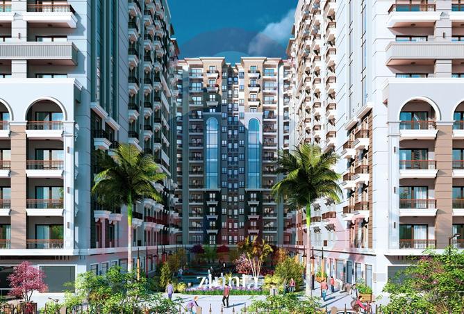 8262417 - Property Image 3