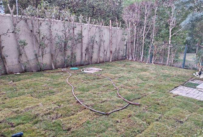 64896529 - صورة العقار 2