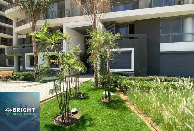 8262874 - Property Image 3