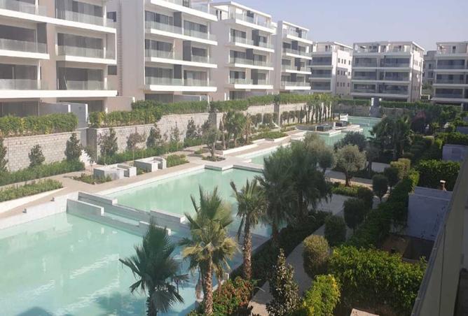 8263503 - Property Image 3