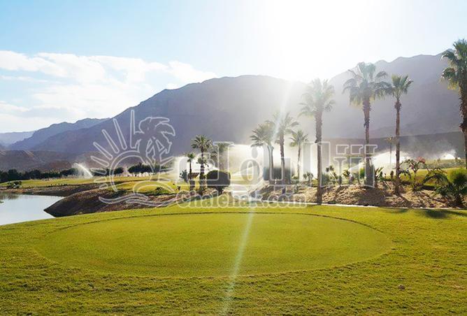 8263787 - صورة العقار 2