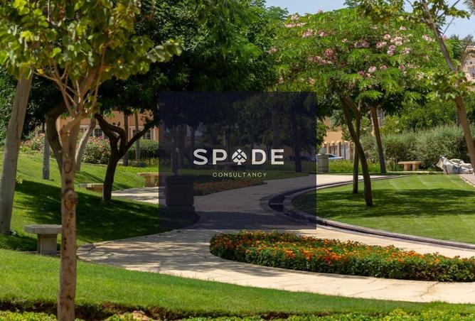 8266466 - Property Image 3