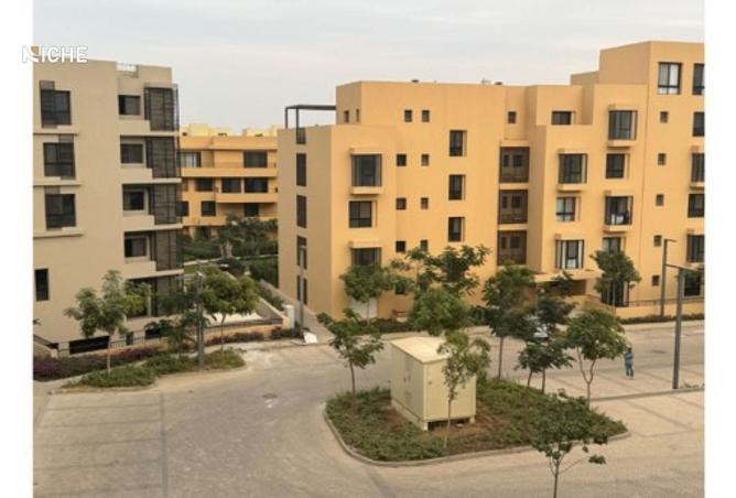 8265569 - Property Image 3