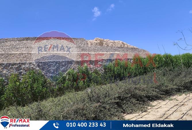 8266425 - صورة العقار 2