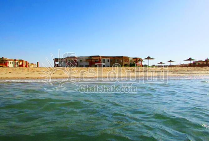 8266682 - صورة العقار 3