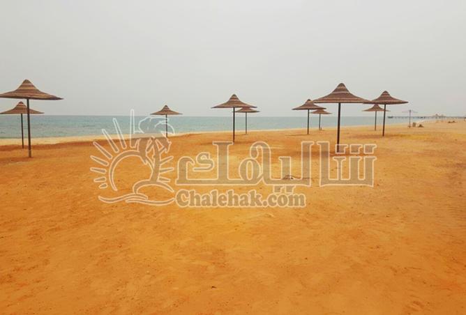 8266682 - صورة العقار 2