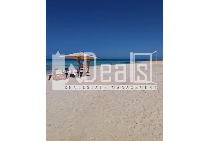 8267127 - صورة العقار 3