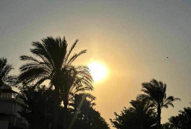 8268558 - صورة العقار 2