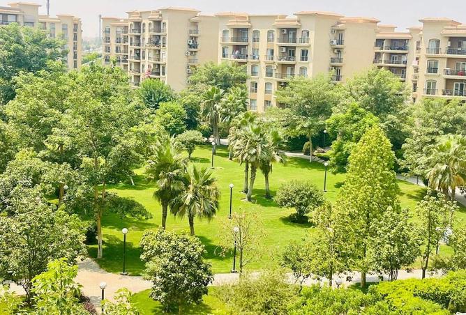 8269241 - Property Image 3