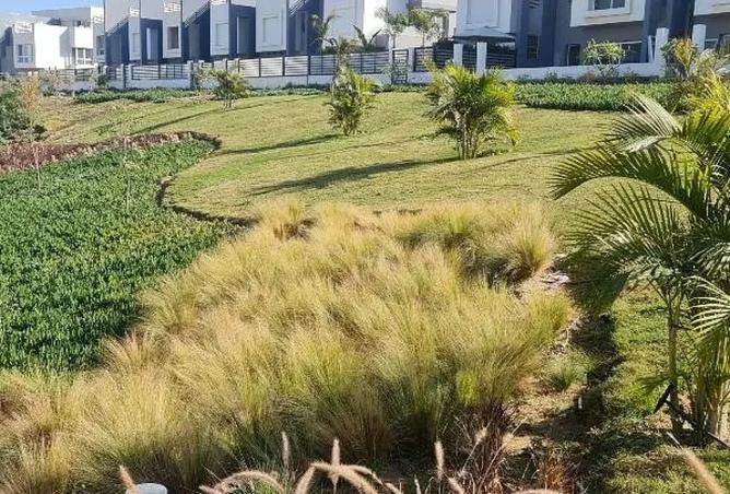 8269369 - صورة العقار 3