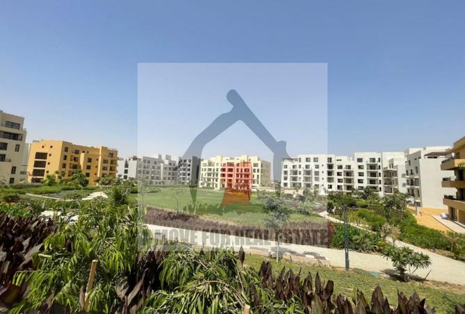 8270554 - Property Image 2