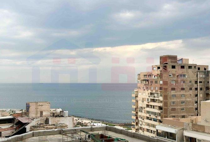 87207406 - صورة العقار 2