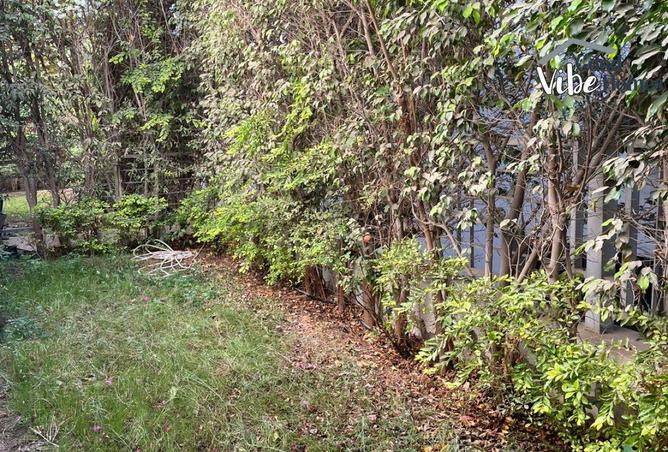 8362121 - Property Image 3