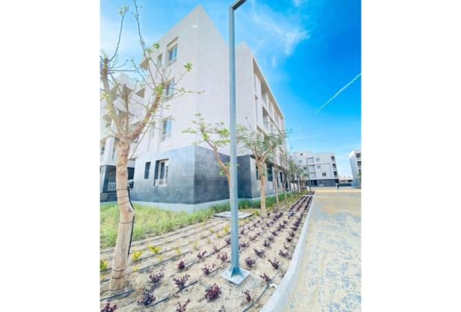 8398189 - صورة العقار 2