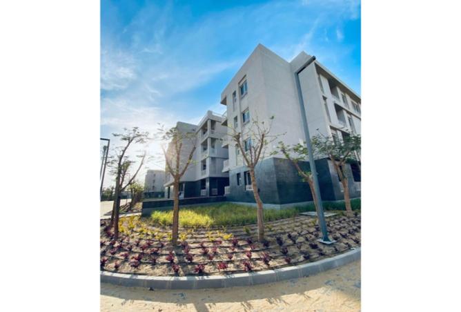 8398189 - صورة العقار 3